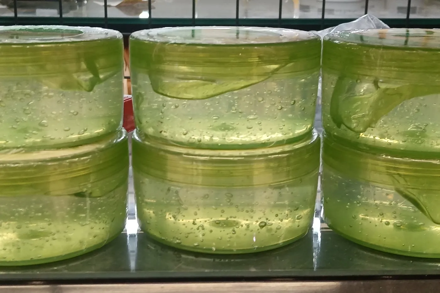 Gläser mit Aloe-vera-Gel
