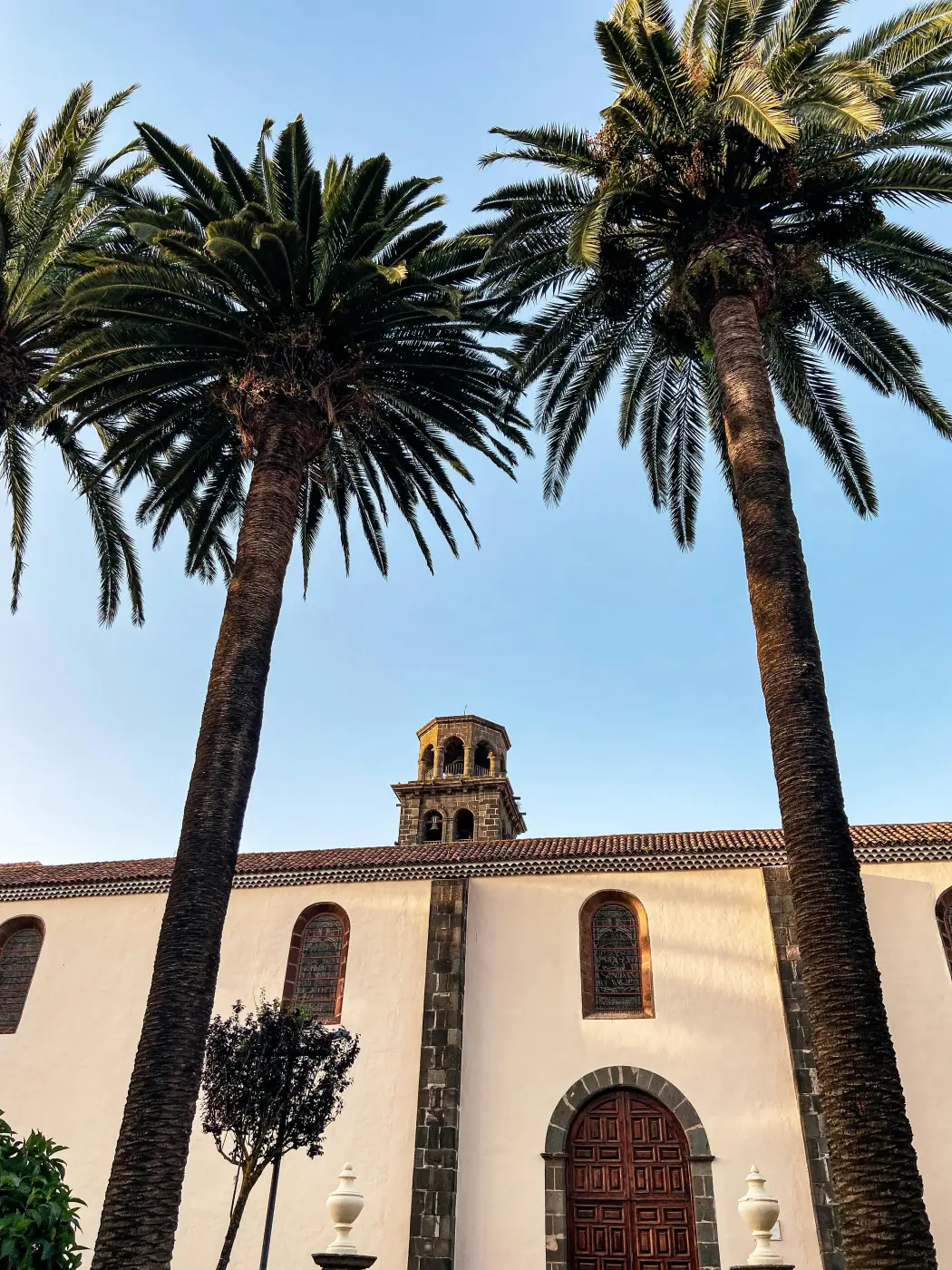 Der Mudéjar-Turm der Concepción-Kirche zwischen Palmen in La Laguna