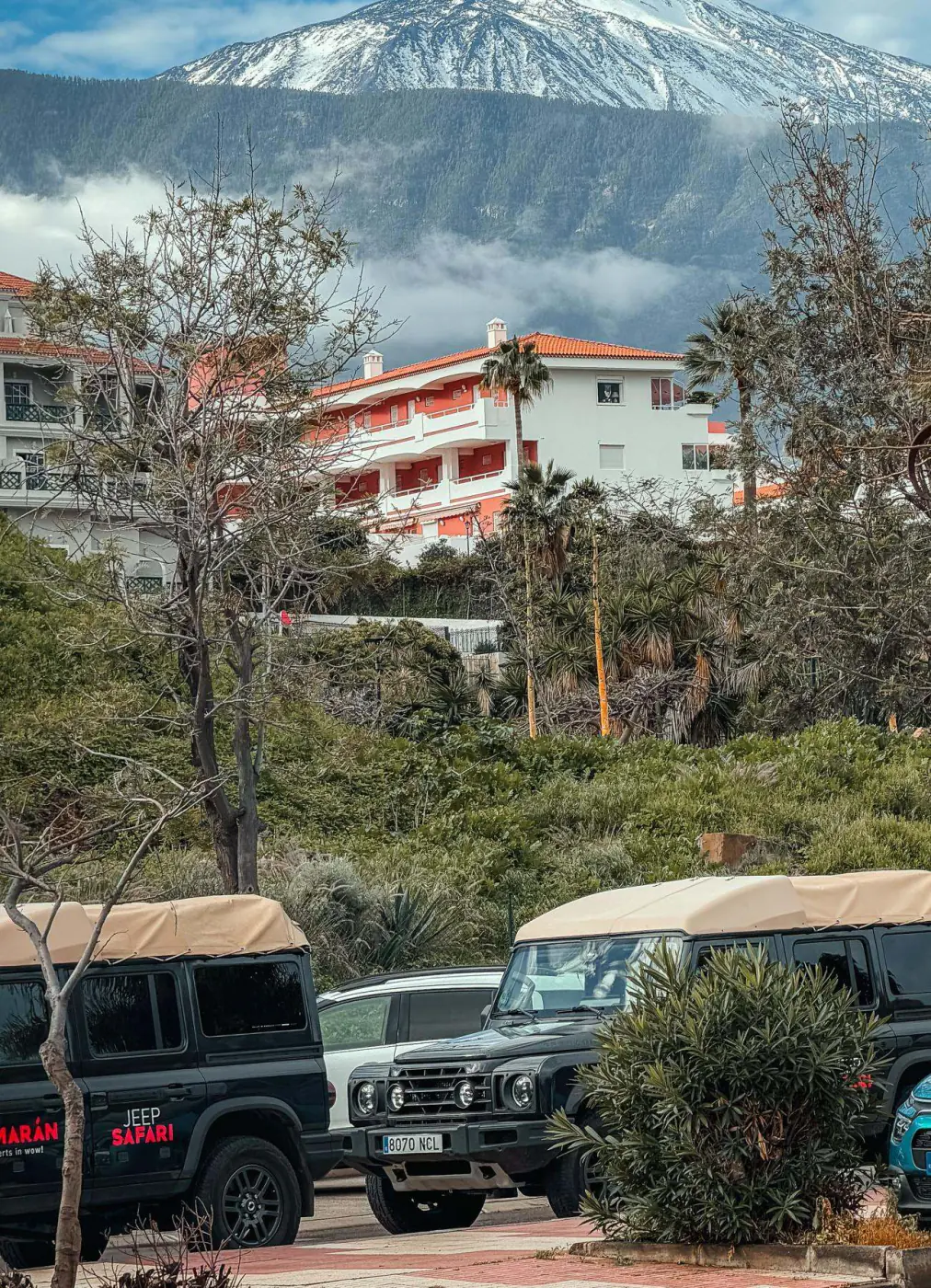 Jeeps Tamarán avec le Teide enneigé en arrière-plan, à Puerto de la Cruz
