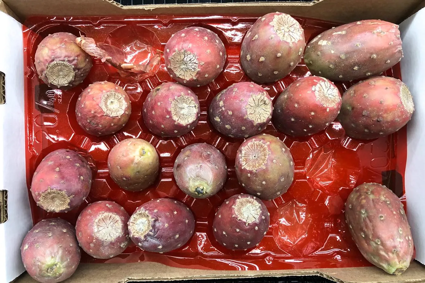 Kiste mit frisch geernteten Kaktusfeigen