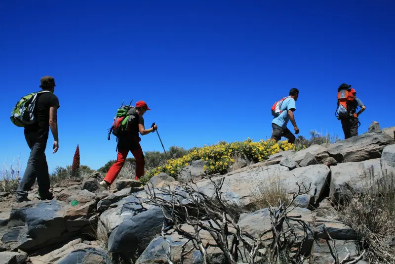 Senderistas caminando por una ladera del Parque Nacional del Teide